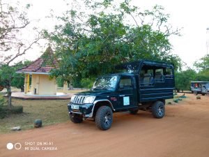 self drive guide to Sri lanka