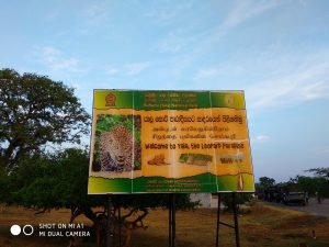 self drive guide to Sri lanka