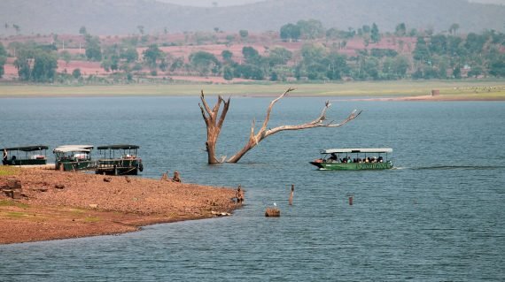 Kabini Wildlife tour